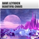 Dave Leyrock - Beautiful Chaos